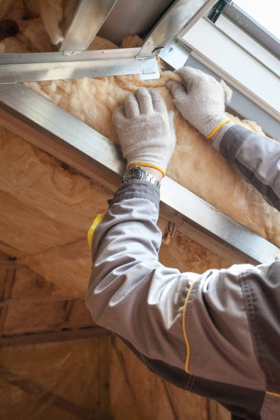 Types of Insulation We Offer in Salmon, ID