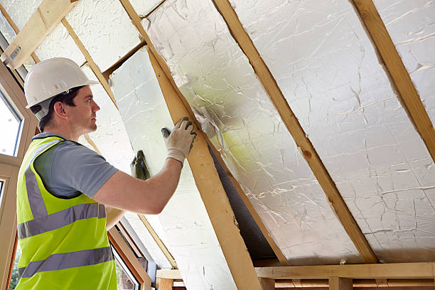 Best Residential Insulation in Salmon, ID